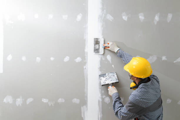 Best Drywall Installation  in Pasco, WA